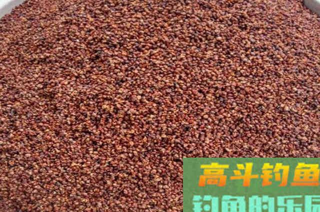 垂钓鲤鱼的自制饵，会有让你意外的收获