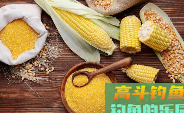 民间高手教你自制饵料野钓鲫鱼