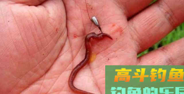 2种挂蚯蚓法，1种简单1种难，但各有优劣