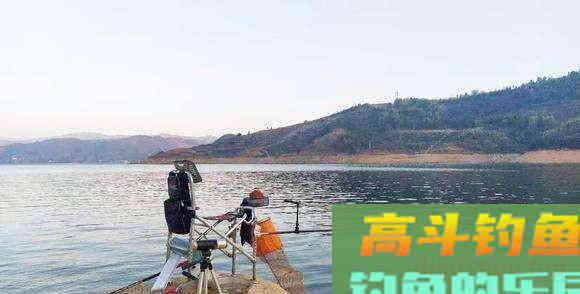 垂钓领域中的本源钓饵，作钓各个鱼种里的权威存在