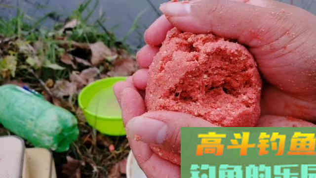 开饵掌握这五大要素，就算不打窝也一样丰收