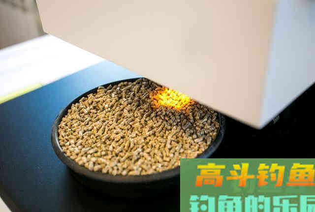 鸡鸭饲料，为什么都是打窝的好东西，原因是这几点