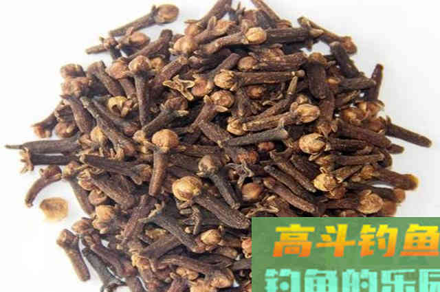 中医出身的钓友，分享自用中药酒配方，小鱼效果好