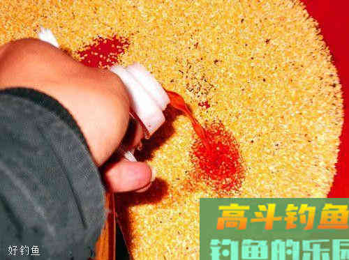 钓鱼要打好窝，你知道7个基本原则吗？