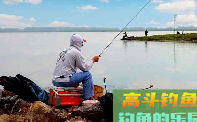 春季钓鲫鱼，饵料要会变，谈用饵技巧