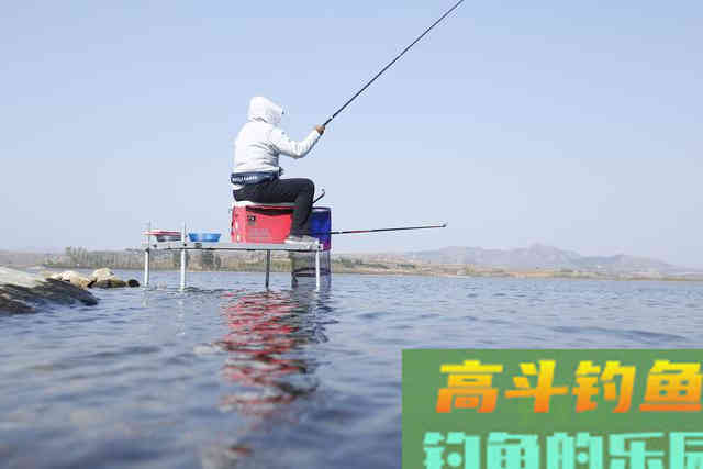 秋季如何才能有更好的鱼货，送上秋钓鲫鱼饵料配方