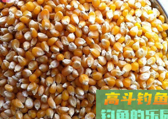针对鲤鱼草鱼打窝的饵料配方