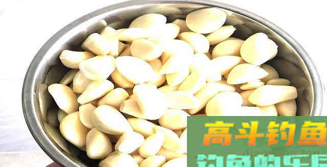 农村小哥用小米椒做窝料，诱鱼快穿透力强，附配方