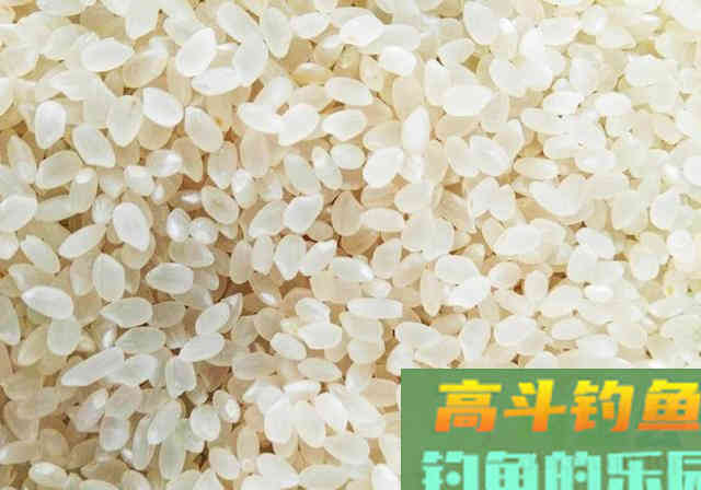 不起眼的东西，拿来做饵料钓鱼效果好，半天钓18斤