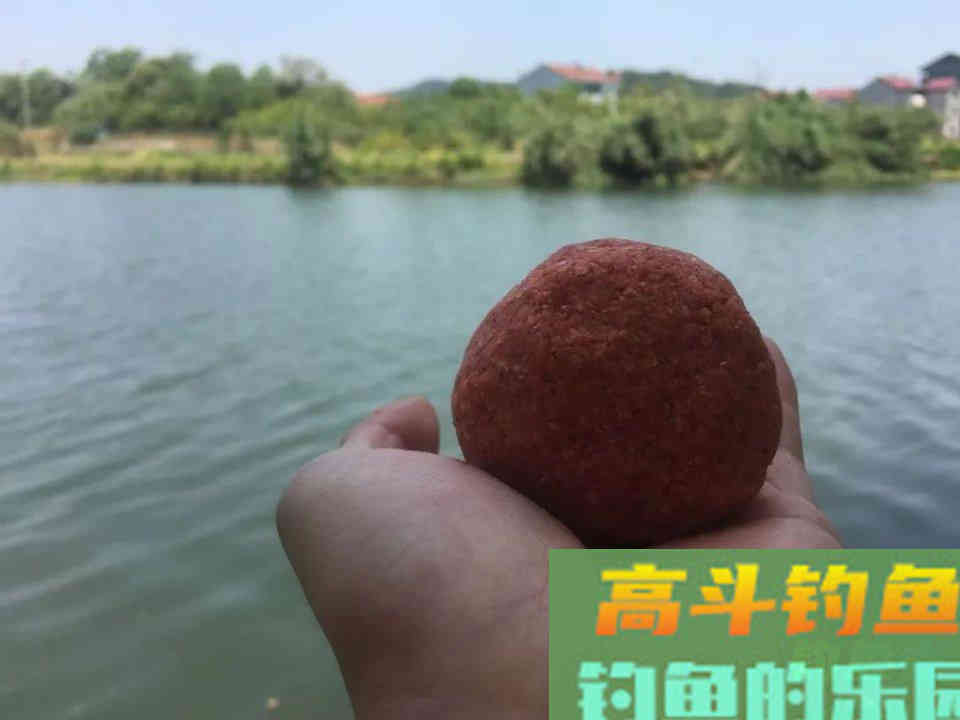 搭配饵料时懂得粗细结合，才能做到诱鱼留鱼双丰收