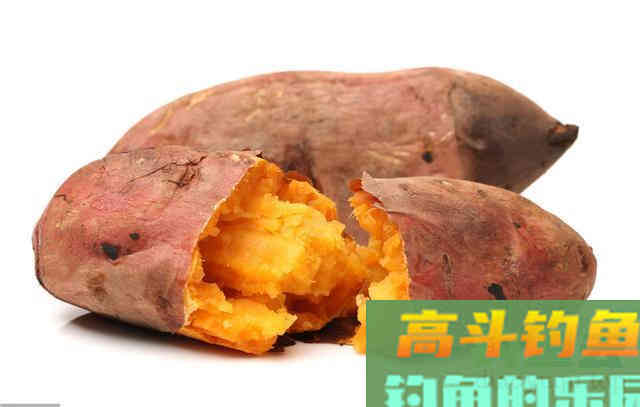 素饵之王的丰收季，稍微制作钓大草鲤鲫鱼