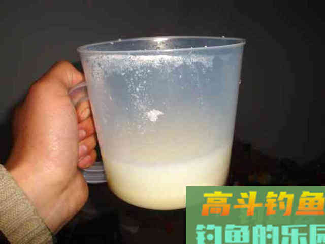 用自制饵料钓鲢鳙，这鱼一来一群，钓不散