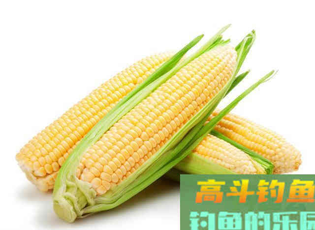 钓草鱼钓浮还是钓底？不纠结，窝料做好才是关键