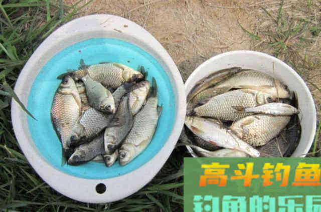 冬季钓鱼的5点体会，并附上我的自制钓鲫饵料配方