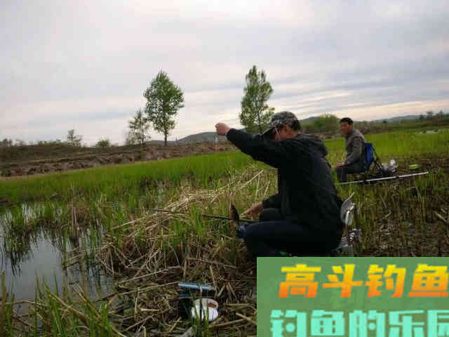 为什么打了窝子，守一天一条鱼也钓不到？