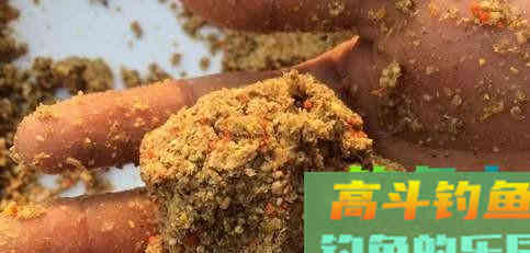 按照春季的打窝方式，钓夏季的鱼，收获差不能怪别人