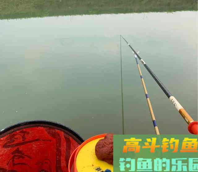 垂钓领域中的本源钓饵，作钓各个鱼种里的权威存在