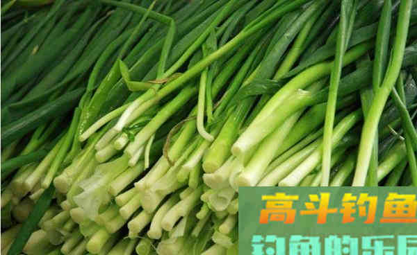 这些身边常见的东西，是用来钓鱼效果蛮好的饵料
