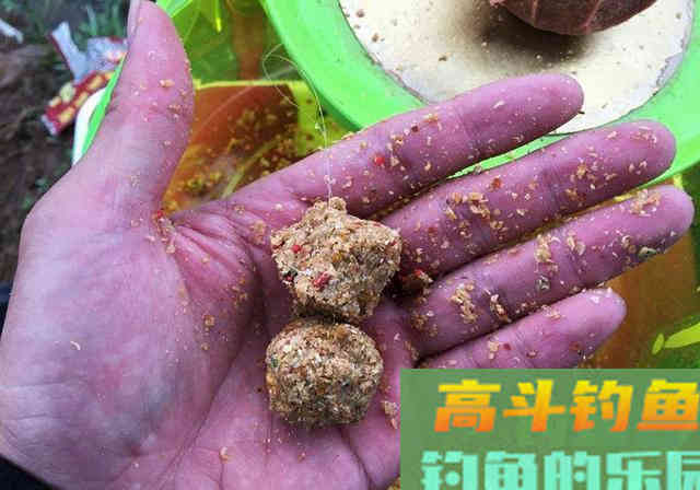 搓饵钓鱼没问题，不注意细节，钓鱼效果就会很差