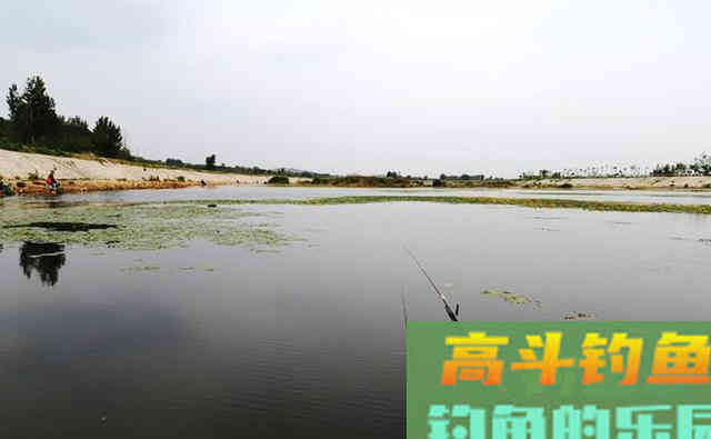 浑水中钓鱼，用这2种方法做窝，渔获少不了