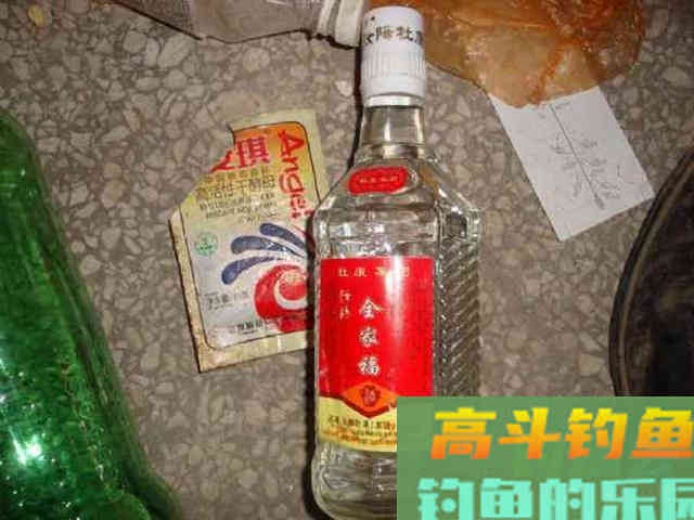 用自制饵料钓鲢鳙，这鱼一来一群，钓不散