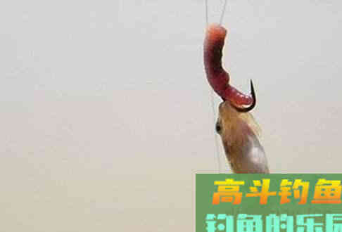 用蚯蚓都没鱼口，是大小没选对，有鱼也没口