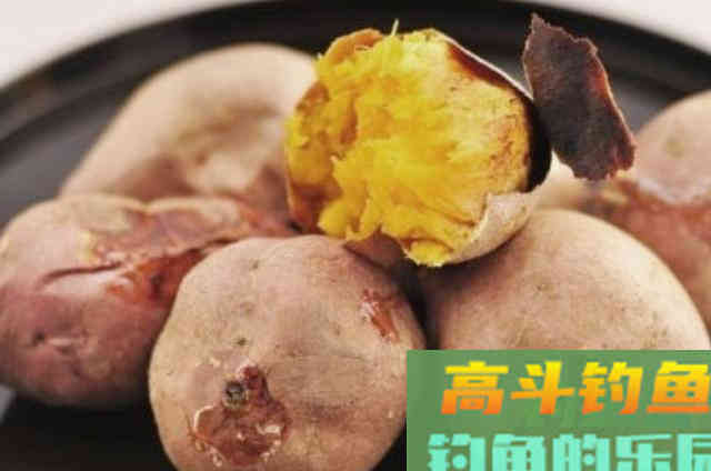 三伏天钓鲫鱼鲤鱼的红薯饵料配方，实测效果佳