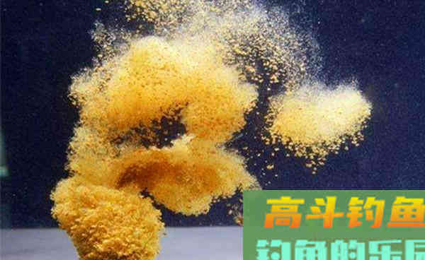 深秋初冬钓鲫鱼打窝是关键，这些更留鱼的打窝方法