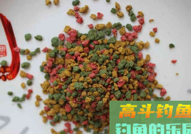 为什么螺鲤钓不到鱼？最基本的饵料搭配都不对