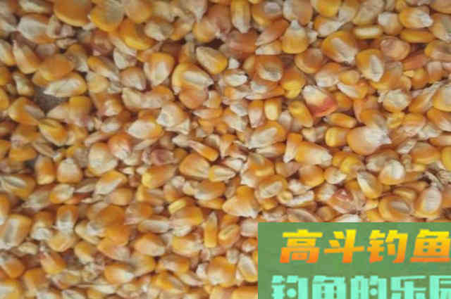 这款韭菜自制饵，钓草鱼效果非常好