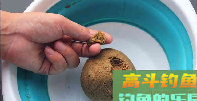 不同鱼情不同鱼饵，如何做到蛇打七寸，鱼打正口