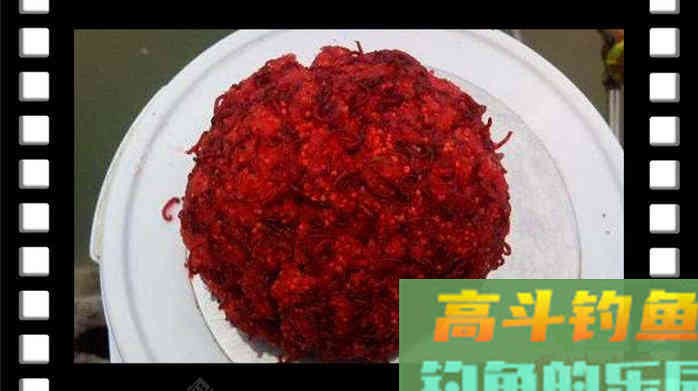 冬季鲫鱼必杀神饵红虫
