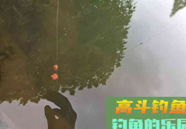 6款适合新手钓鲫鱼的饵料，无需搭配，单开就好用