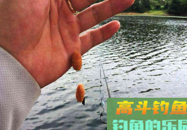 搓饵钓鱼没问题，不注意细节，钓鱼效果就会很差