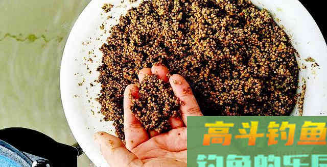 用好饵料才能多钓鱼，想多钓鱼的钓友，请收下这些用饵心得
