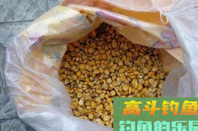 2种钓草鱼的打窝方法，与窝料投放方式