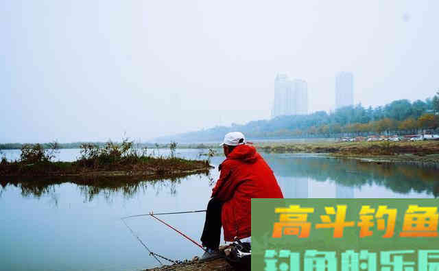 不可忽视的打窝学问，提前打窝不但上鱼快 而且钓获多