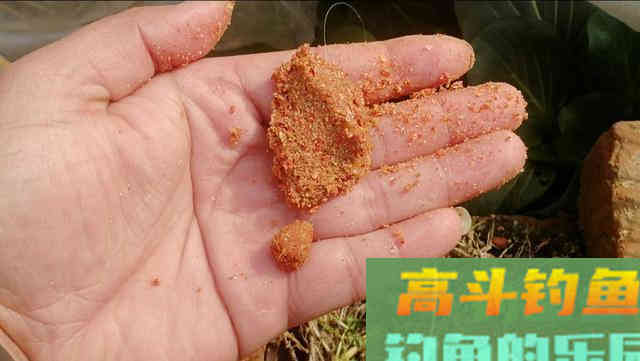 野钓环境下自制散炮，不但避小鱼，还专诱大鲫鱼