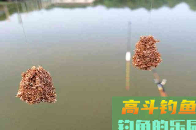 自己高效钓鲤鱼的一款特效饵，适合南方钓友使用