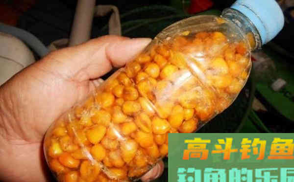 三款自制饵料，自然水域专钓大鲤鱼