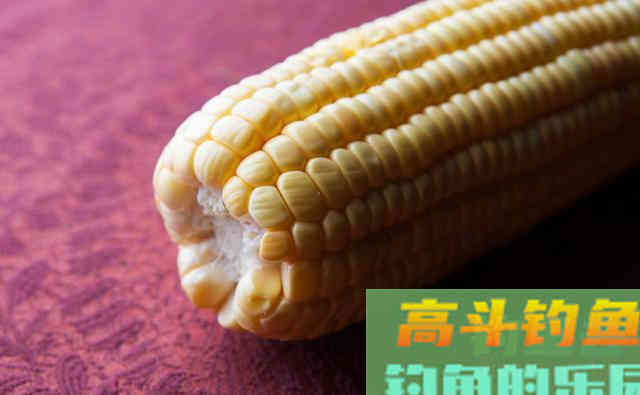 用鸡饲料钓鱼的一些技巧，垂钓诱鱼非它不可