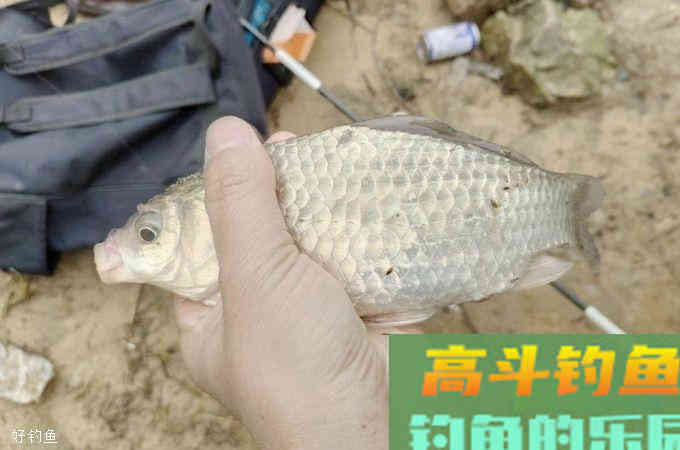 春天不管在哪钓，牢牢记住这用饵“秘诀”