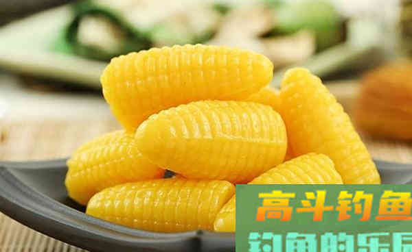 这些身边常见的东西，是用来钓鱼效果蛮好的饵料