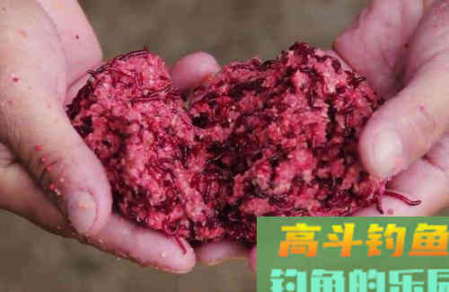 平常用的饵料里加一些什么能让诱鱼效果倍增？