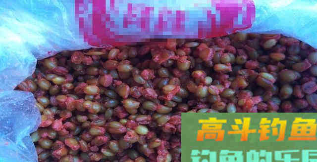 钓鱼打窝绝学分享，想多钓鱼的你值得拥有