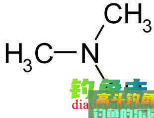 诱鱼开口的腥味饵，种类不同，诱钓效果也不相同