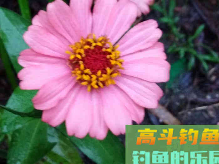 我对状态饵浅识和实操