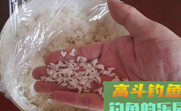 仲秋野钓大鲫鱼的神奇饵料，小鱼不沾，只钓大鲫