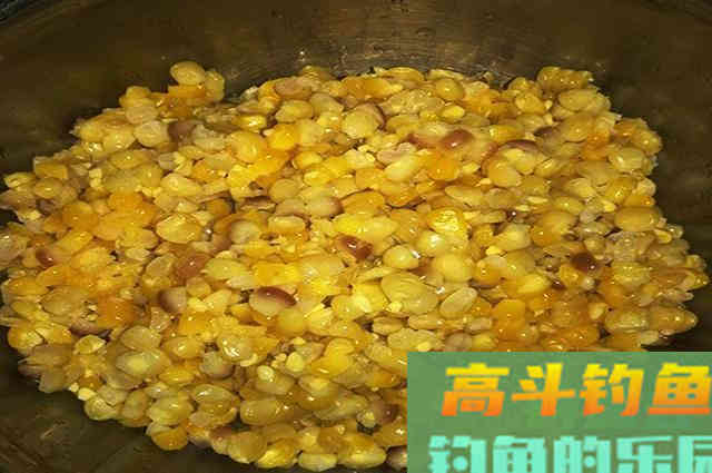 自制钓鱼玉米粒，不注意这几点，钓效差怪不得别人