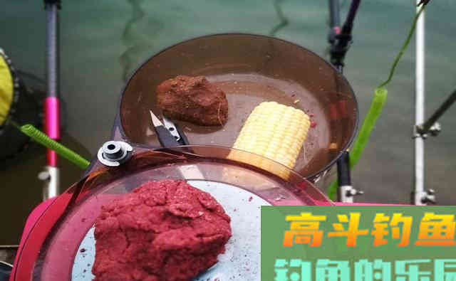 浑水中钓鱼，用这2种方法做窝，渔获少不了